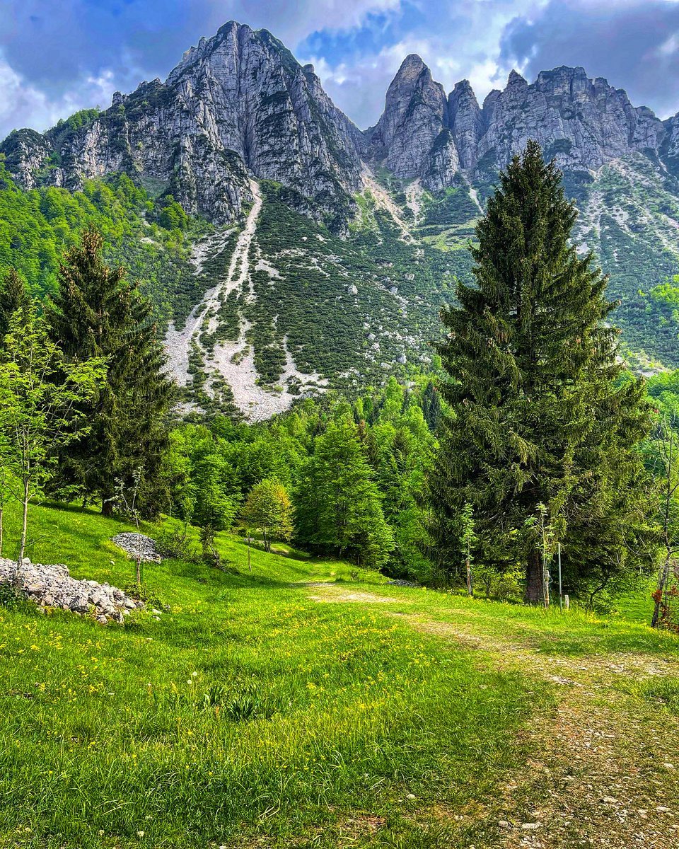 Sono piccoli i nostri passi paragonati ai Grandi Alberi del sentiero sull’Altopiano delle Montagnole. Sembra di avere la sindrome di Stendhal di fronte a quest’opera d’arte firmata da Madre Natura

🌲🌳 tinyurl.com/3uhthyf4

#VisitVeneto #RecoaroMille

📷 IG francesco___spada