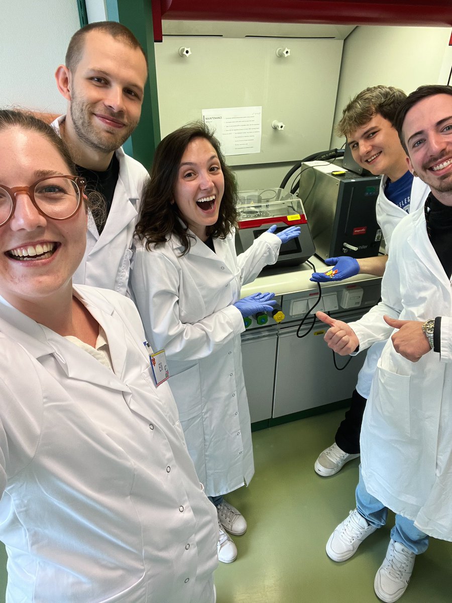 PharmaVetmeduni's tweet photo. Teamwork makes the ChIP work: Alessia, one of our PhD students, made an inhouse-ChIP workshop and it was not only intense but also fun - thanks for sharing your expertise 👩🏼‍🔬  #sharingiscaring #laboratory #PhD #phdlife @VetmeduniVienna https://t.co/slFFfF3syh