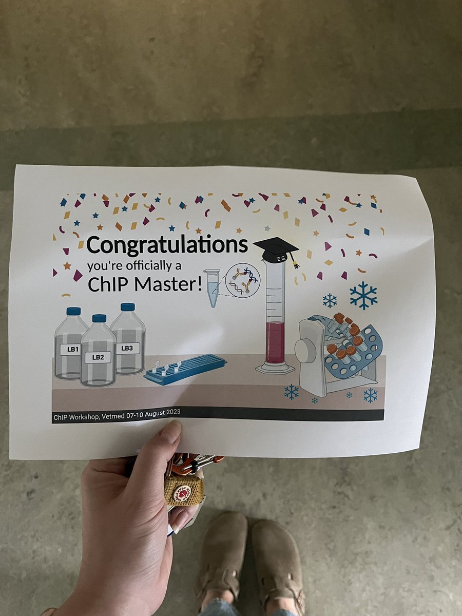PharmaVetmeduni's tweet photo. Teamwork makes the ChIP work: Alessia, one of our PhD students, made an inhouse-ChIP workshop and it was not only intense but also fun - thanks for sharing your expertise 👩🏼‍🔬  #sharingiscaring #laboratory #PhD #phdlife @VetmeduniVienna https://t.co/slFFfF3syh