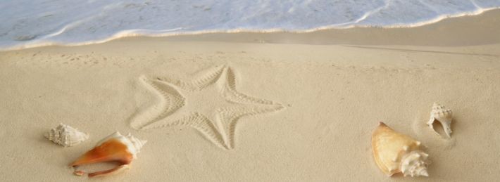 [ restarting ] . . . d - 7 !!
hiii, im gabi ! im looking 4 interactive moots : ]

; me :
  — incoming g8 student
  — she/her , intj-a
  — 13/yo (‘10) , aries
  — looking 4 friends ><

tags : #studytwtph #archivetwt #stantwt #kpoptwt

♡ / ↻ to be moots + spread ><