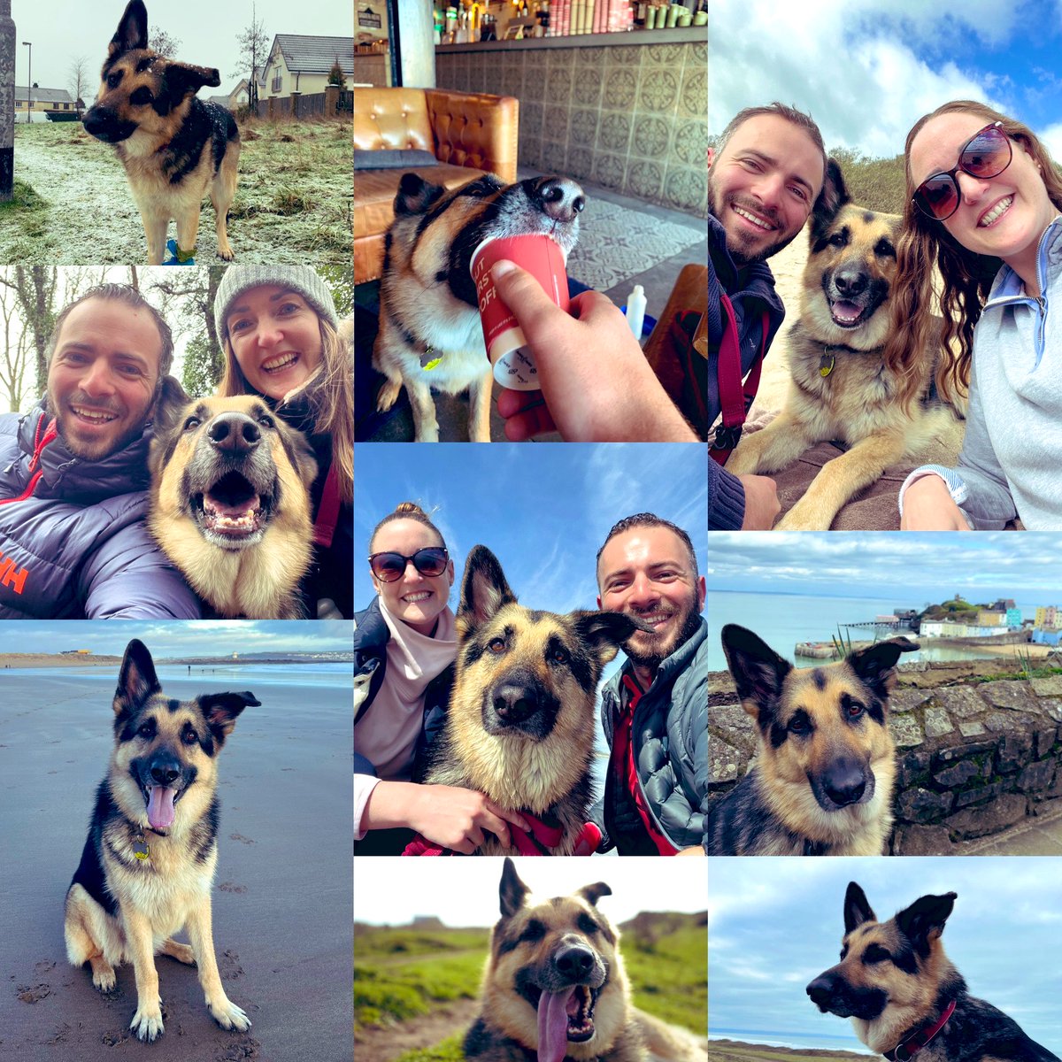 Matt Dando-Thompson tweet media