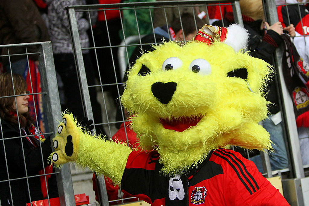 🦁 #WorldLionDay2023 🦁