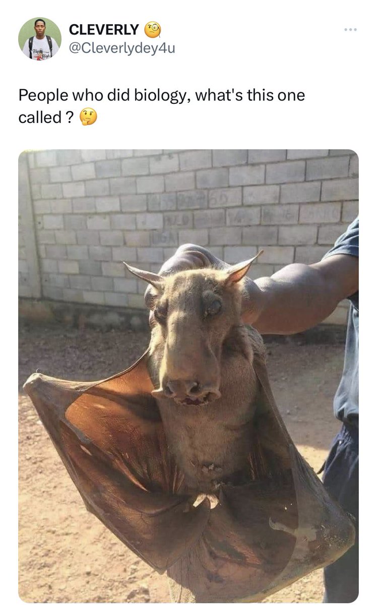 YabaLeftOnline tweet media