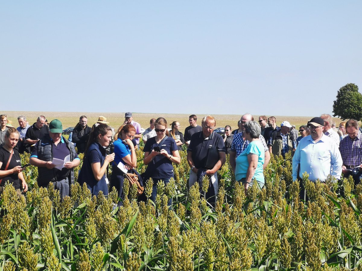 Til Feike tweet media