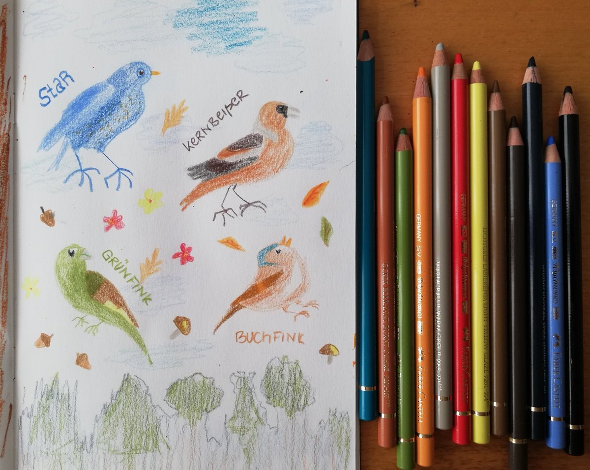 Birdie festival 😊 #illustration #polychromos #coloredpencils #doodling #sketching #drawing #creativity #art #artclass