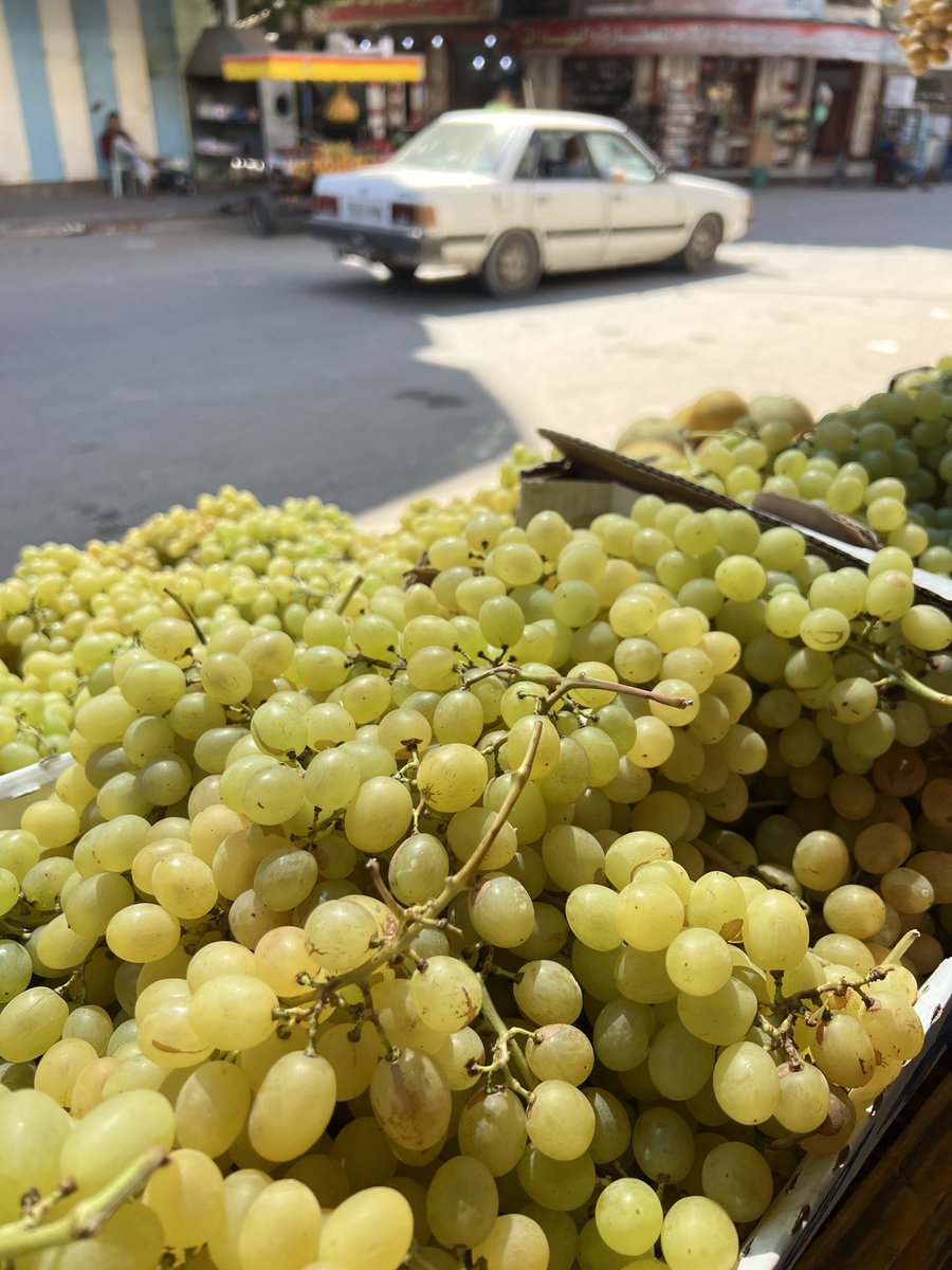 MuhammadSmiry's tweet photo. Good morning from Gaza, Palestine https://t.co/SDQQ9QDpA2