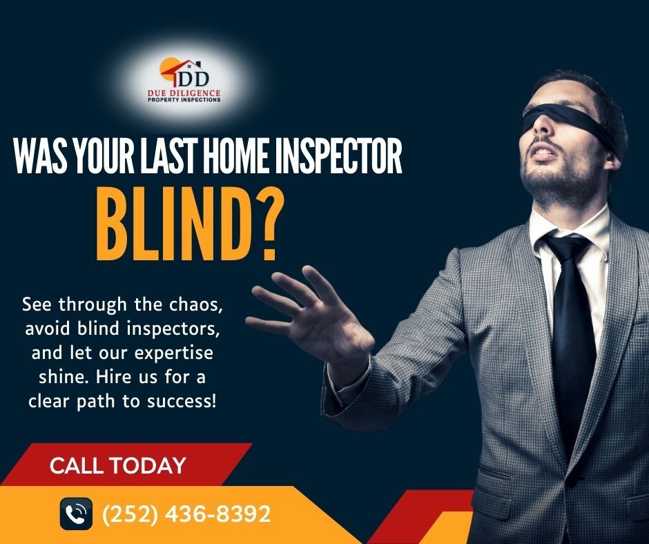 Due Diligence Property Inspections tweet media
