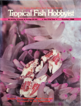 TFHmagazine's tweet image. It's an 80s #ThrowbackThursday!

#TropicalFishHobbyist #fishmagazine #vintagemagazine #crab