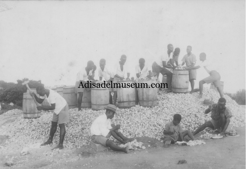 AdisadelCoIIege's tweet photo. #ThrowbackThursday 

Construction of Adisadel College by students. Circa 1933

1. Clearing of site 
2. Transportation of coarse aggregate from quarry 
3. Quarry site
4. Mixing of concrete https://t.co/f7eDCCCLaa