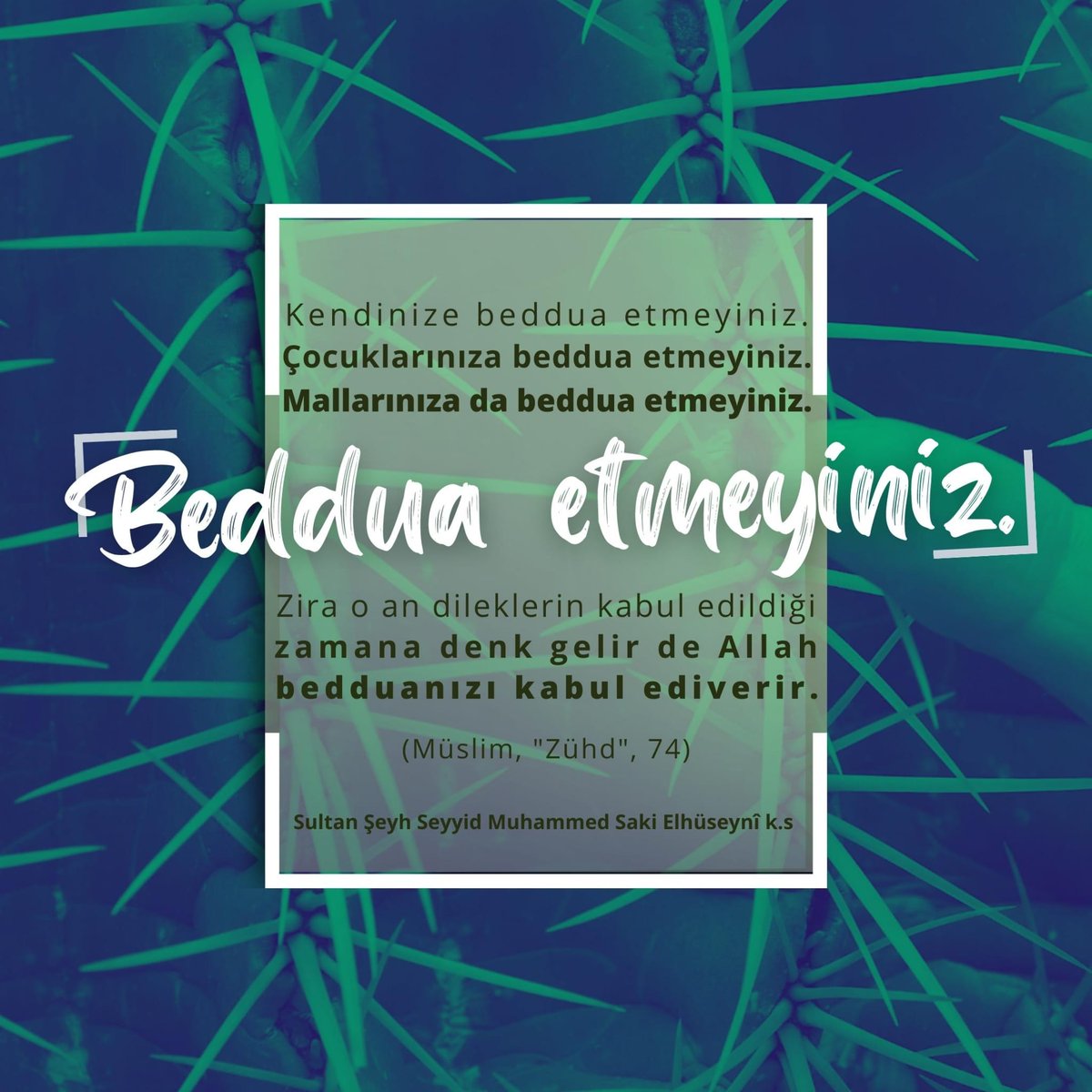 Muhammed Sâqî Elhuseyni (@hasemierol) on Twitter photo 