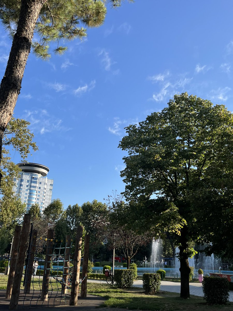 GM 𝕏 champions!🌤️

• Choosing self-growth over screen addiction brings positivity and progress!

• Choose growth, not screens.
• Refresh your spirit, connect with the nature!

📲🌿🤍