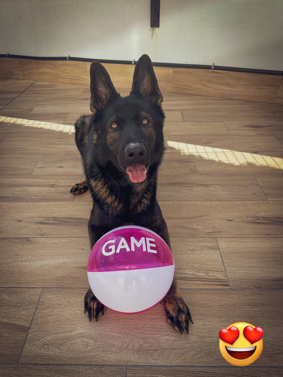 Aerthiel's tweet photo. Gracias @VideojuegosGAME https://t.co/fhluW0yBib