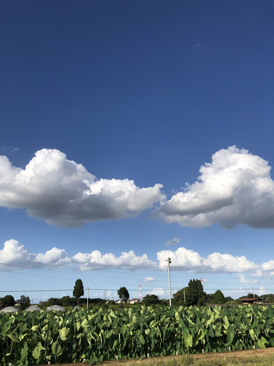 GXvfbx's tweet photo. きょうの雲☁️
なんかいいな https://t.co/eqatTpl9sN