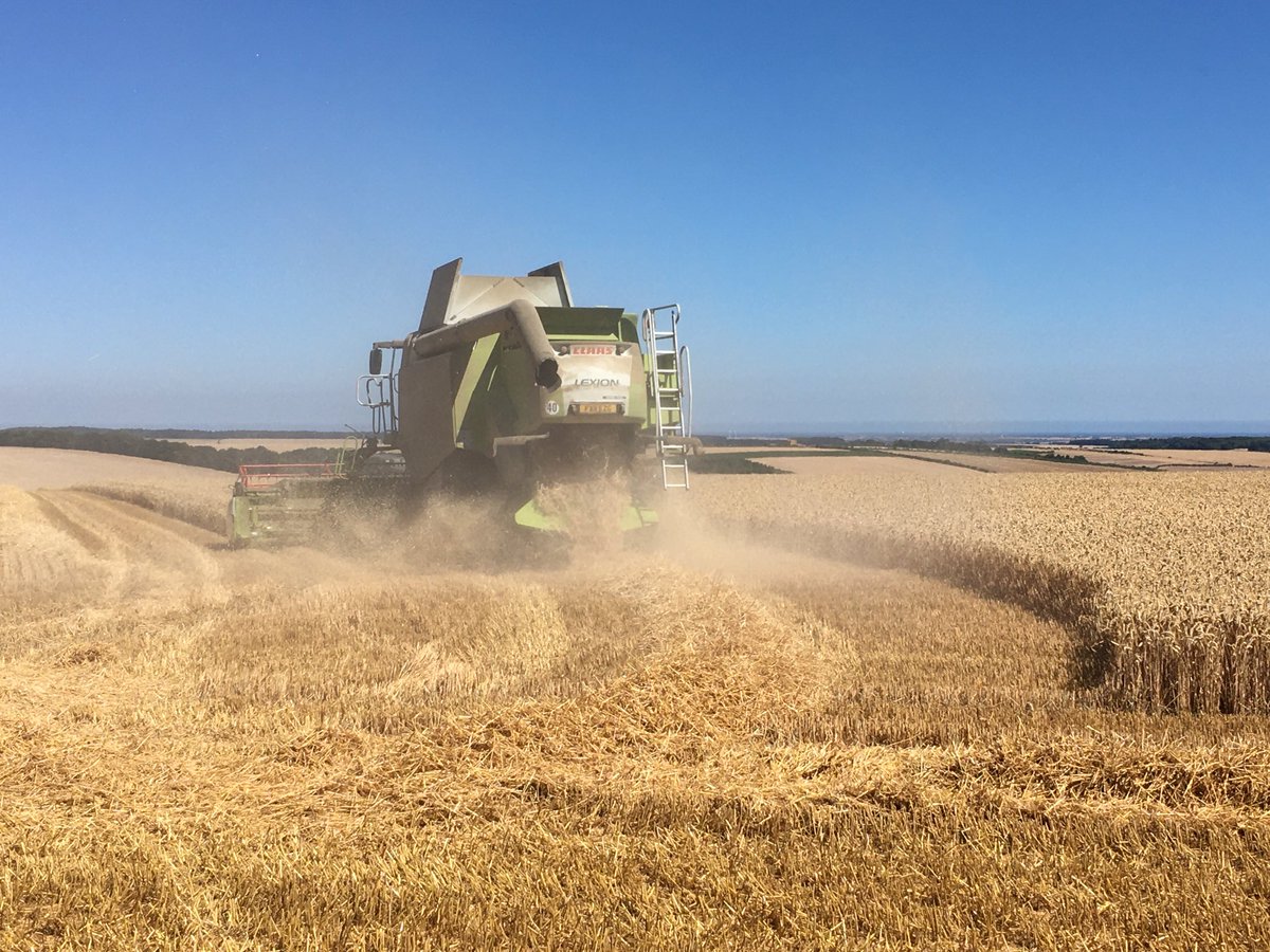 Chris Rothery (@rotherycc) on Twitter photo 12 months ago Tim Lamyman achieved <a href="/GWR/">Guinness World Records</a> of 17.95 T/ha in Champion Wheat to give him a second record to go with the barley record a couple of weeks earlier (16.2 T/ha). A great achievement that is still standing! 12 months ago Tim Lamyman achieved <a href="/GWR/">Guinness World Records</a> of 17.95 T/ha in Champion Wheat to give him a second record to go with the barley record a couple of weeks earlier (16.2 T/ha). A great achievement that is still standing!