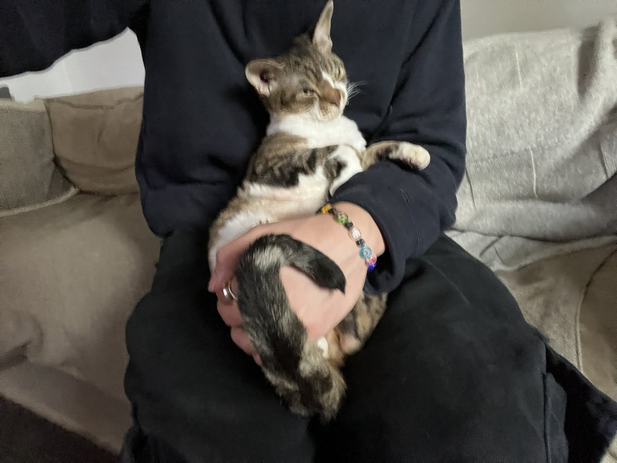dexturd1's tweet photo. https://t.co/jPFMfhv4D1