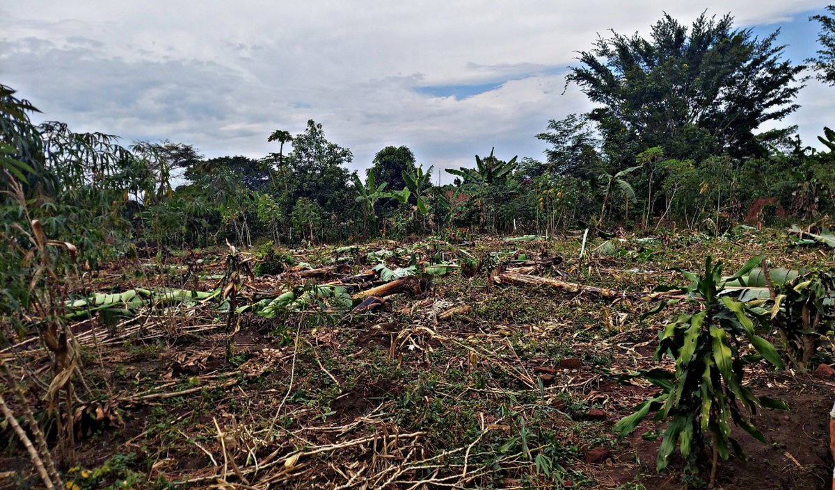 This Land Is Cleared And Now Suitable for residentials