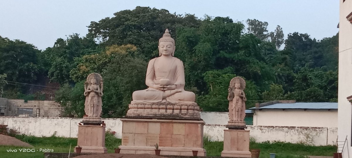 PabitraNimapada's tweet photo. Camp No.2, Chandragiri, Mohana, Gajapati District https://t.co/sHnFMYq8RI