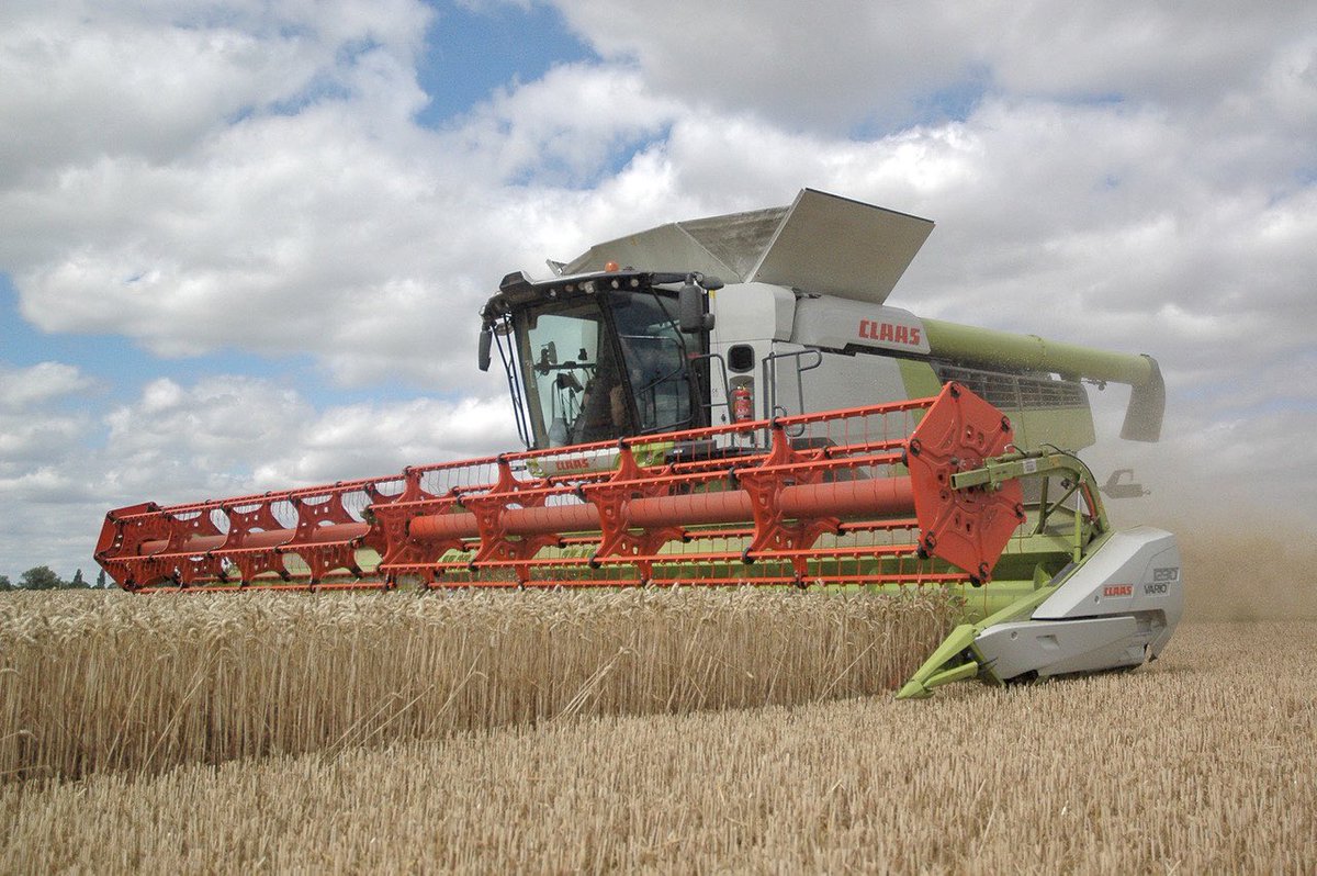 On this day last year, we finished #harvest22. 

This year we haven’t harvested a single hectare of wheat (prioritising other, more weather vulnerable crops).

Grateful for a fantastic, flexible team, capacity to dry grain and reliable equipment to go when the weather allows.