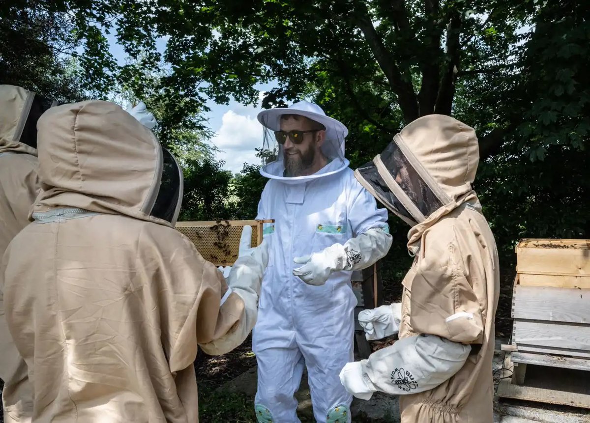 Milton Park (@miltonpark) on Twitter photo Not long now until the next ‘Meet the bees’ sessions with <a href="/nurturegroup_uk/">The Nurture Landscapes Group</a> next week on Wednesday 16 August.
A few sign-up spots are still available here to meet Milton Park’s buzzing pollinator friends 🐝: miltonpark.co.uk/events/meet-th…
#honeybees #beekeeping Not long now until the next ‘Meet the bees’ sessions with <a href="/nurturegroup_uk/">The Nurture Landscapes Group</a> next week on Wednesday 16 August.
A few sign-up spots are still available here to meet Milton Park’s buzzing pollinator friends 🐝: miltonpark.co.uk/events/meet-th…
#honeybees #beekeeping