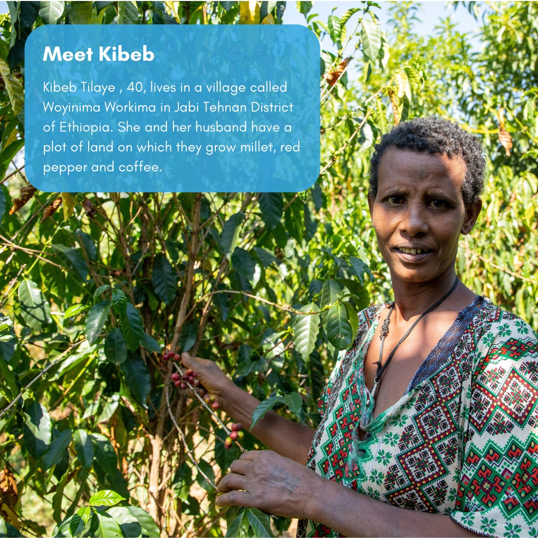 Project Waterfall tweet media