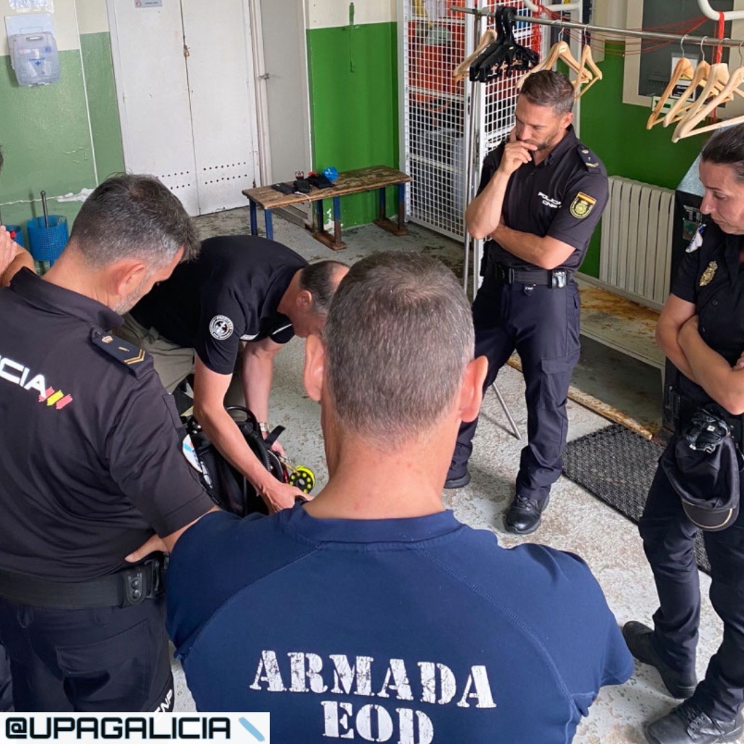 ERDI Diver tweet media