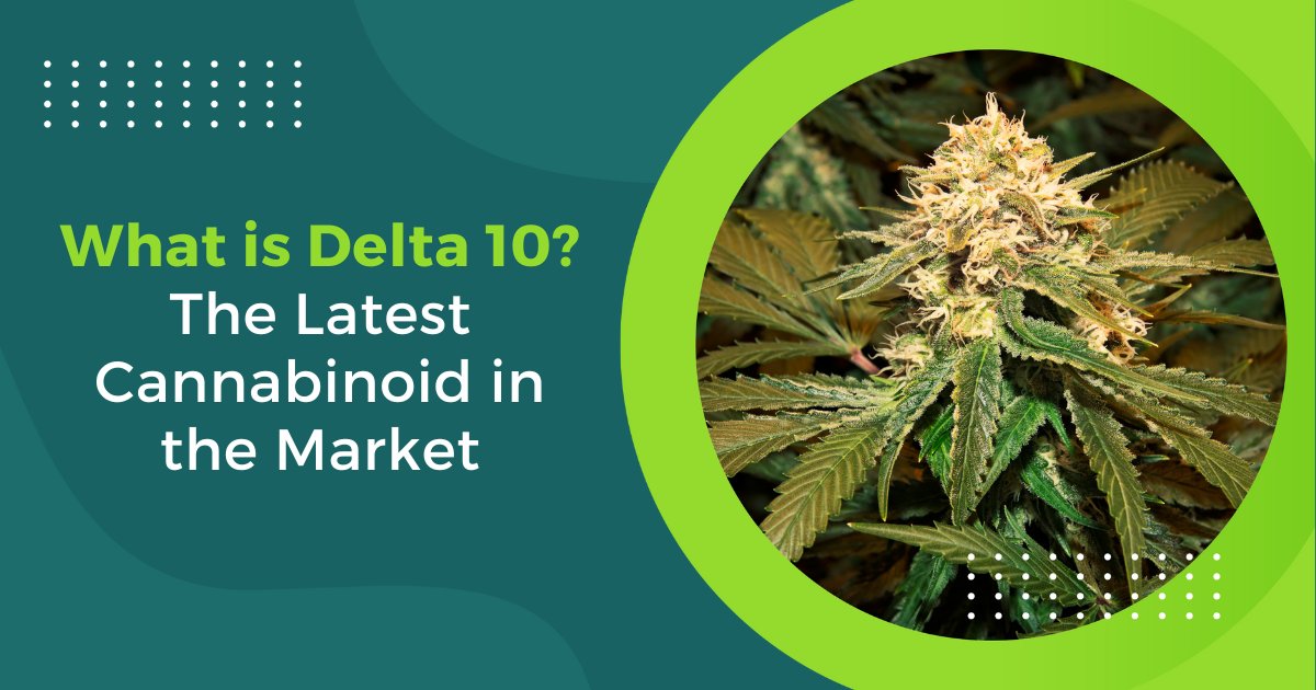 Step into the world of cannabinoids! Discover Delta 10, the newest addition. Stay informed about the latest cannabinoid trends!

Check out our blog to learn more!

#LeafAlleviate #Delta10 #CannabinoidExploration #CBDCommunity #CannabisWisdom #ExploreCannabis #CannabinoidKnowledge