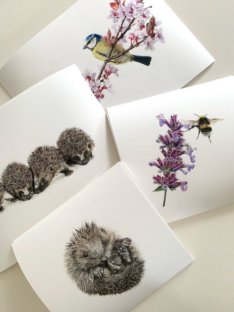 I haven’t slept properly for days, I feel ill with stress and honestly don’t know what to do other than ask for help. Anything you can do would be so very much appreciated 💛 (2/2)

annahamiltonart.com/products