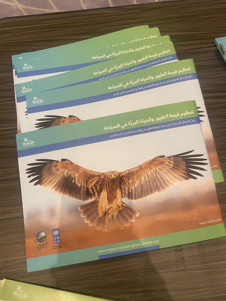 #HappeningNow from #Aqaba under the patronage of H.E <a href="/nalfayez/">Nayef H Al-fayez</a> 
<a href="/theGEF/">Global Environment Facility (GEF)</a> <a href="/UNDPJordan/">UNDP Jordan 🇯🇴</a> <a href="/birdlife_me/">BirdLife International Middle East</a>  #Migratory_Soaring_birds project is organising regional #ecotourism WS to create platform based on joint #ecotourism #declaration with participation from #Egypt #lebanon #Palestine
