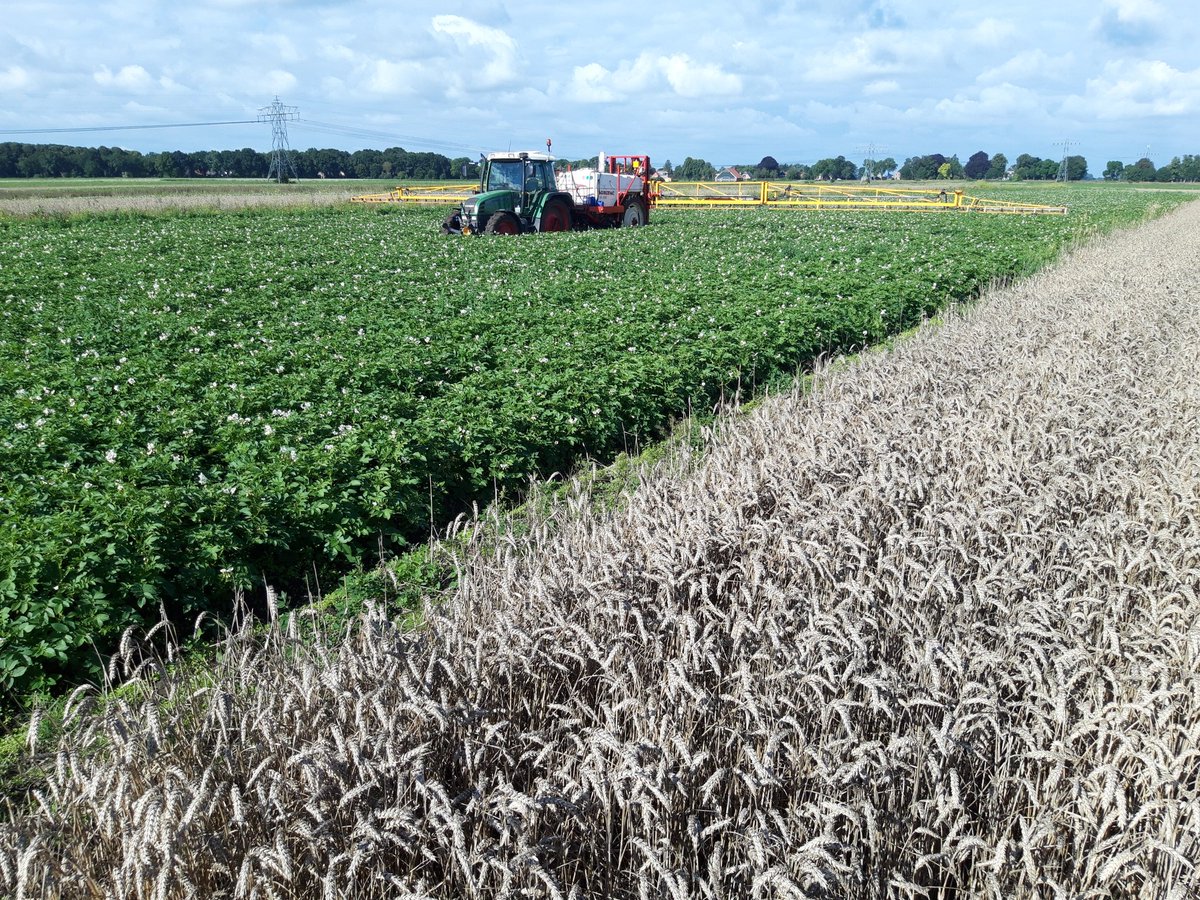 Peter Harry Mulder tweet media