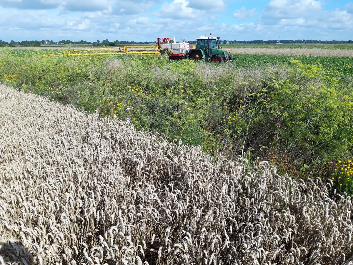 Peter Harry Mulder tweet media