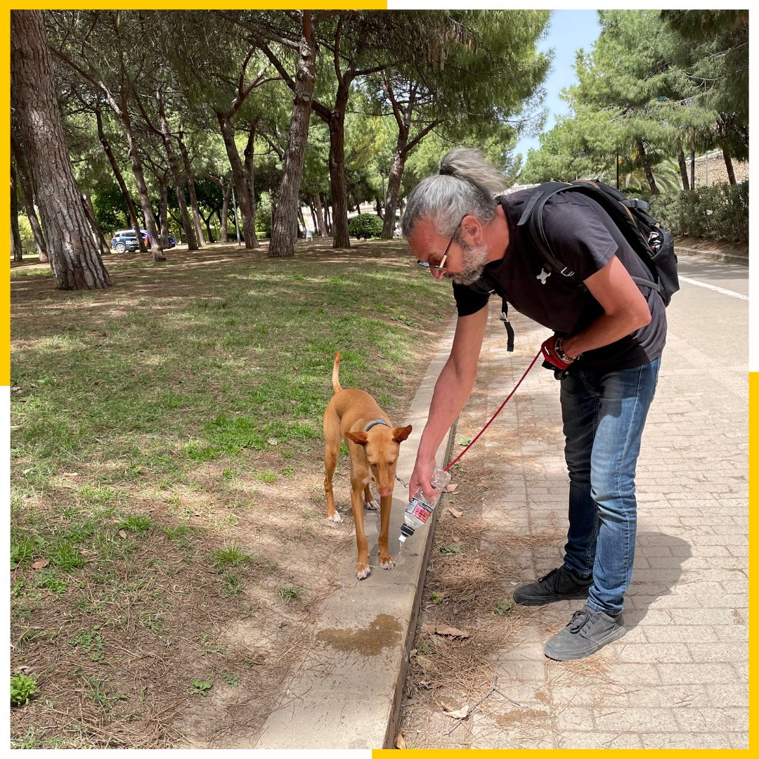 ValenciaNetaVLC tweet picture