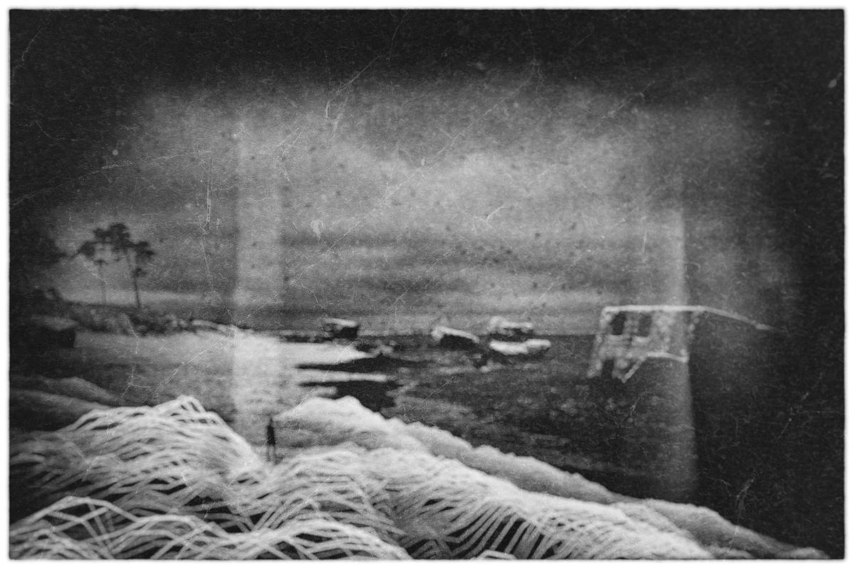 romandrits tweet media