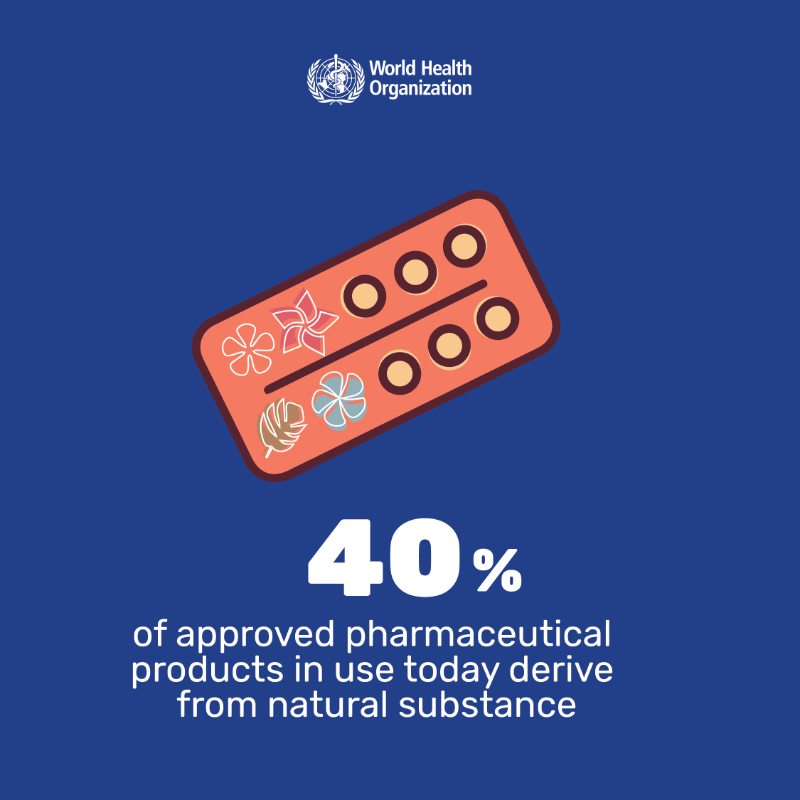 WHO's tweet photo. #TraditionalMedicine has been at the frontiers of medicine &amp; science laying the foundation for conventional medical texts.

#DYK: Nearly 40% of pharmaceutical products have a natural product base, incl.:
💊aspirin
💊artemisinin
💊contraceptive pills
💊childhood cancer treatments