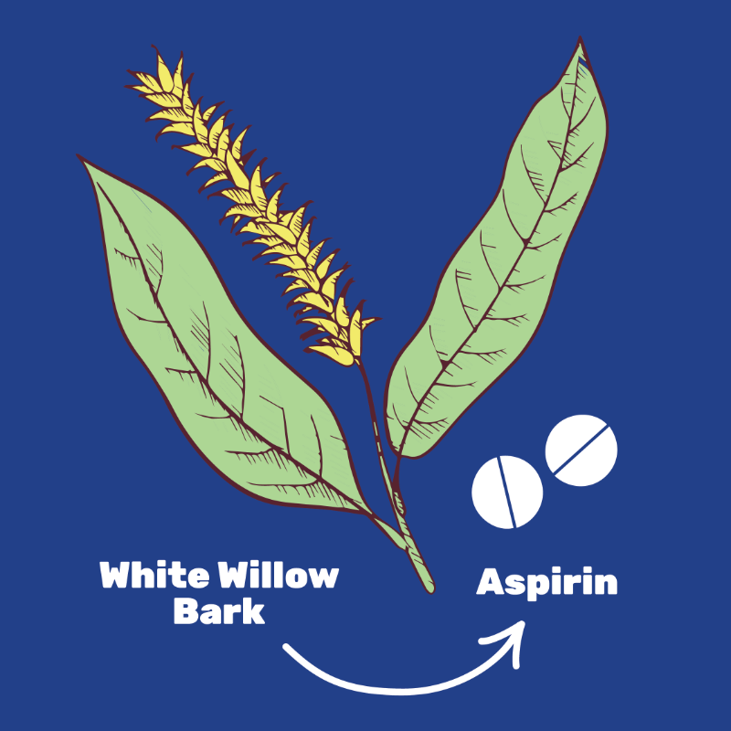 WHO's tweet photo. #TraditionalMedicine has been at the frontiers of medicine &amp; science laying the foundation for conventional medical texts.

#DYK: Nearly 40% of pharmaceutical products have a natural product base, incl.:
💊aspirin
💊artemisinin
💊contraceptive pills
💊childhood cancer treatments
