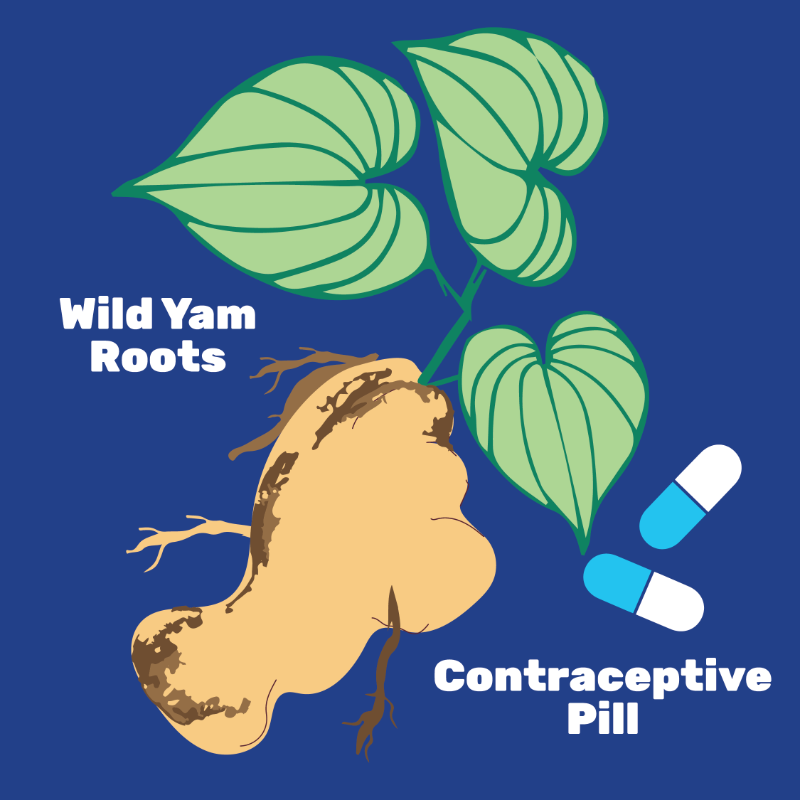 WHO's tweet photo. #TraditionalMedicine has been at the frontiers of medicine &amp; science laying the foundation for conventional medical texts.

#DYK: Nearly 40% of pharmaceutical products have a natural product base, incl.:
💊aspirin
💊artemisinin
💊contraceptive pills
💊childhood cancer treatments