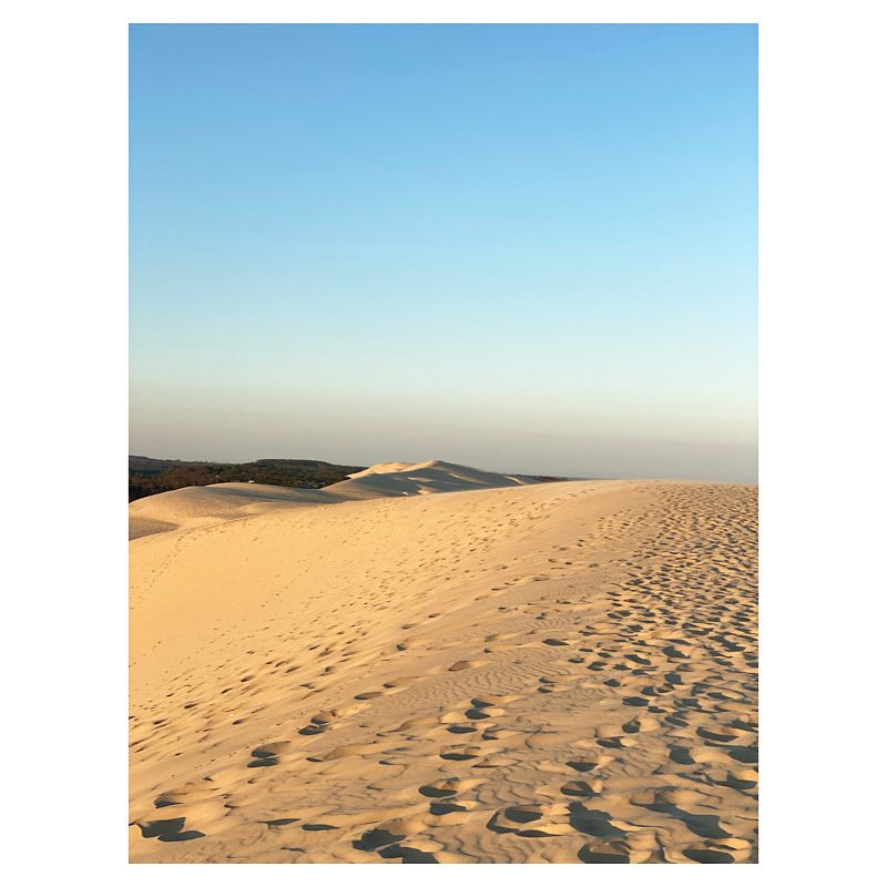 La dune 

#dunedupilat #dunedupyla #bassinarcachon #bassinaddict #igersfrance #vivrelebassin #lecrakoi #legoutdesfollowers #grainedephotographe #wipplay #igersgironde #sudouest #sudouest_focus_on #morningphotography #sunrisephotography #sunriselover
