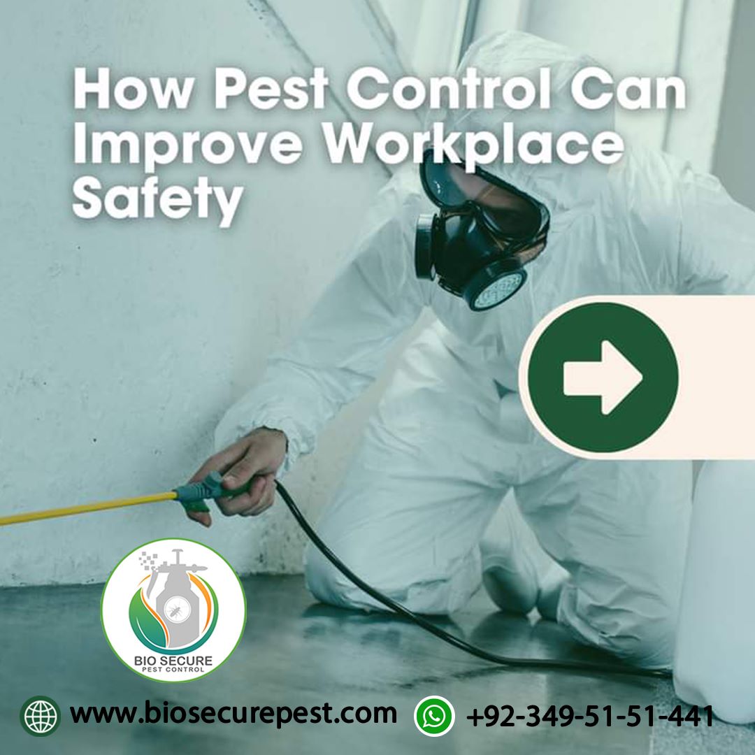 BiosecureP's tweet photo. Safe &amp; Productive Workplace: How Pest Control Makes a Difference 🚀
Book now: 0349 5151441
or visit our website: https://t.co/2YmWbCZjUY
#Pesticides #pestcontrol https://t.co/E3fcXIV1M0
