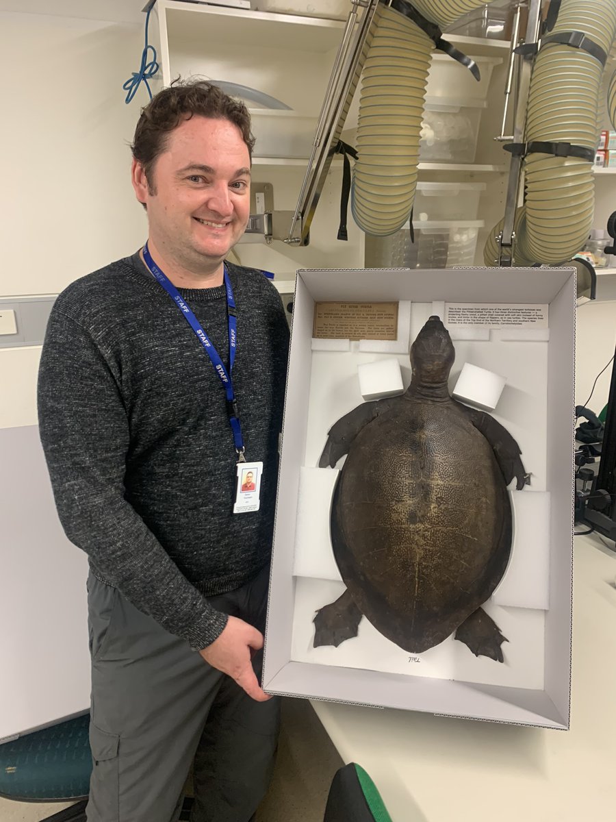 Dane Trembath tweet media