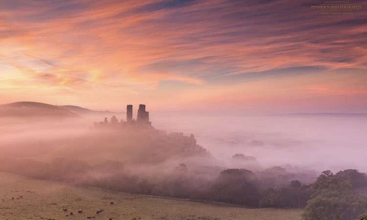 Corfe Castle in the mist! 🏰 
Which image is your favourite?  
 1 2 3 4 ?
#Dorset #CorfeCastle