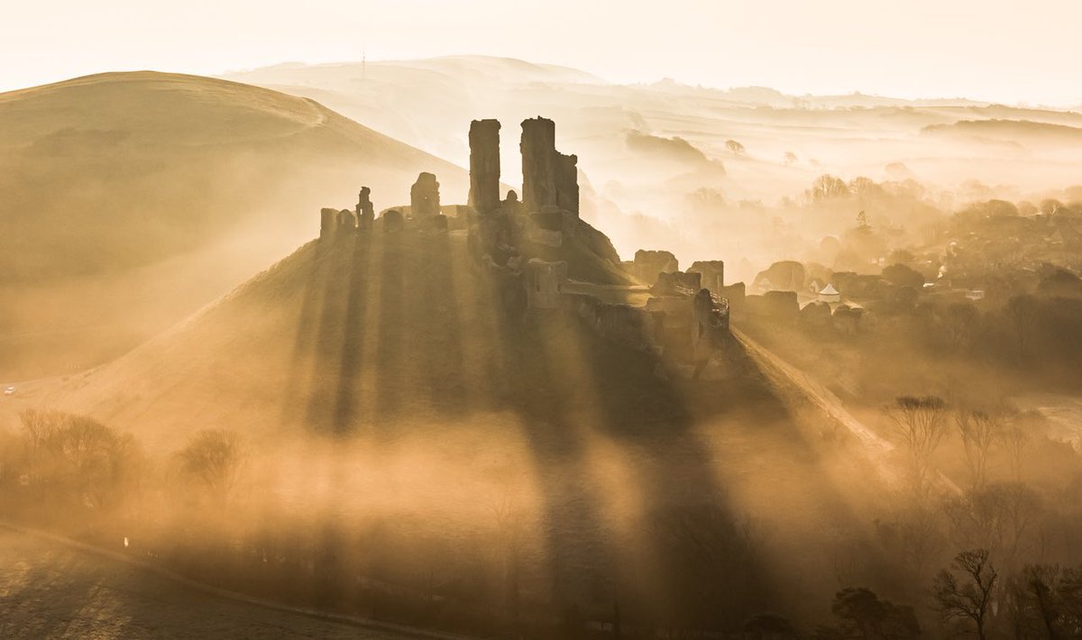 𝐌𝐚𝐭𝐭 𝐏𝐢𝐧𝐧𝐞𝐫 tweet media