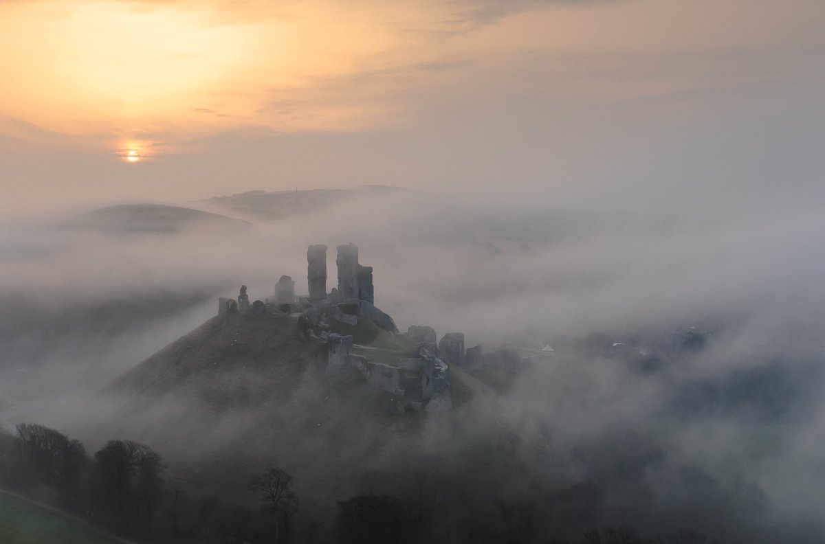 𝐌𝐚𝐭𝐭 𝐏𝐢𝐧𝐧𝐞𝐫 tweet media