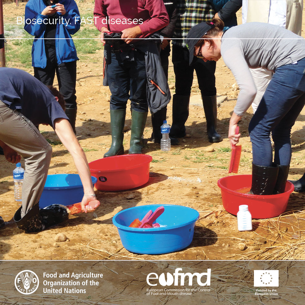 EuFMD/FAST tweet media