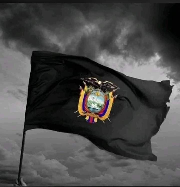 #EcuadorDeLuto
O despertamos o nos hundimos.