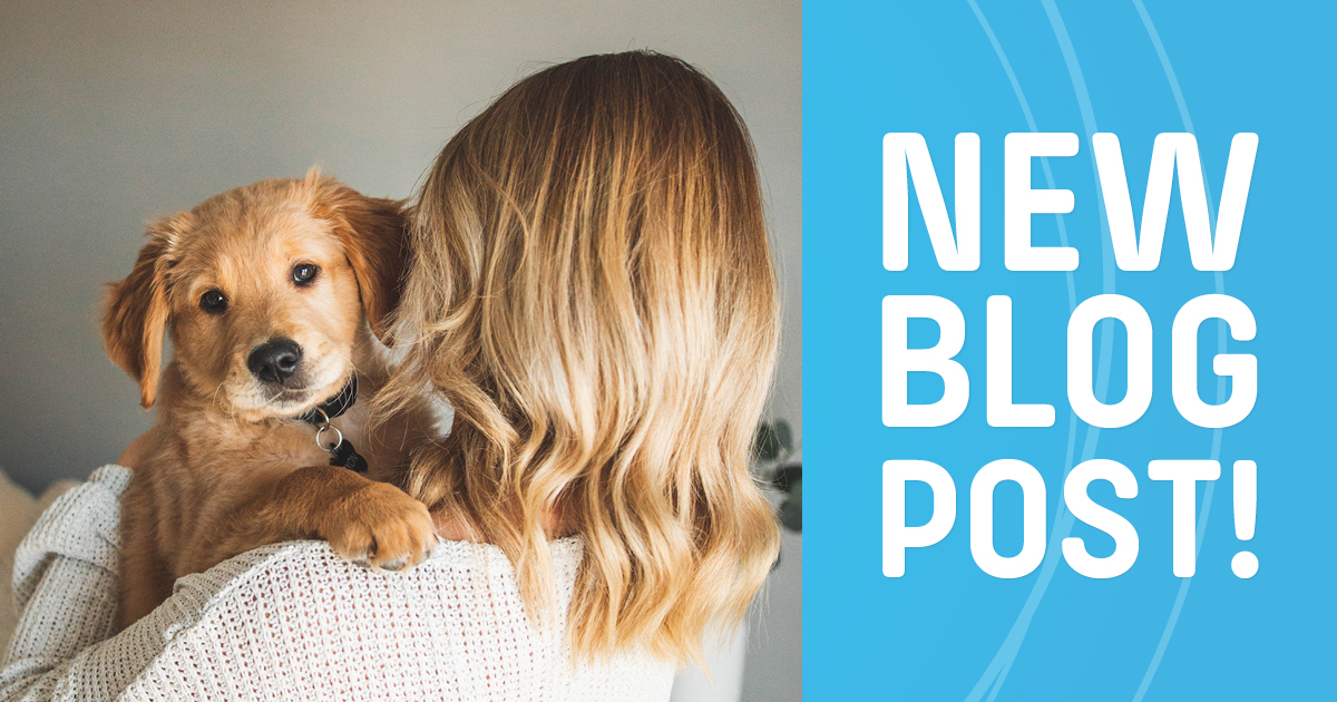 In our latest blog, we take a closer look at growing pups’ sensitive tummies and explore the role of appropriate nutrition in caring for their delicate systems.

nutram.com/ca/article/nur…