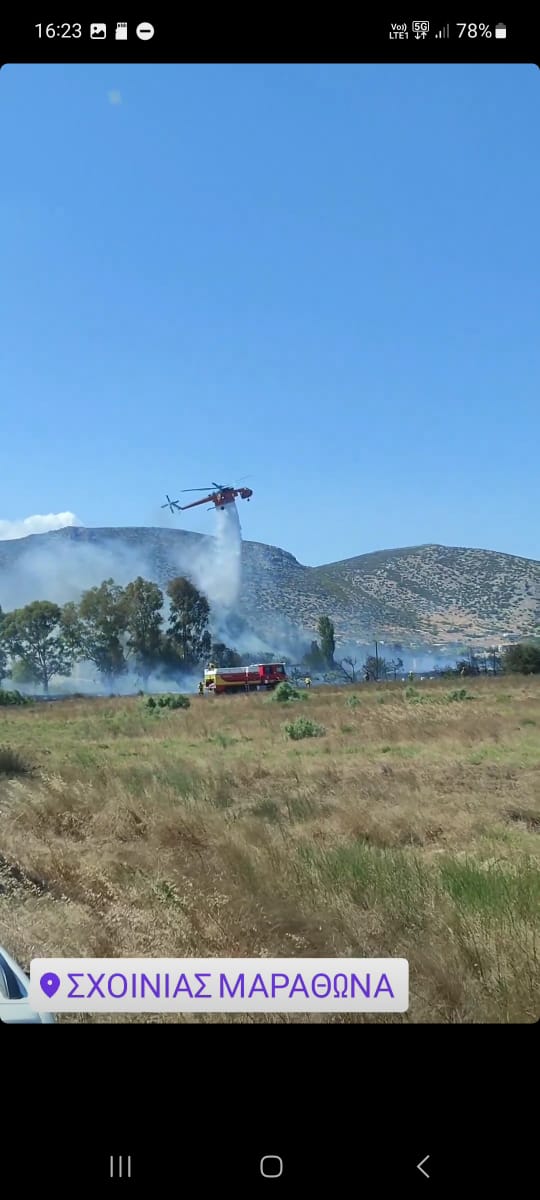 UIISC5CORTE's tweet photo. Hier, le GFFF-V de @UIISC5CORTE pré positionné en 🇬🇷 a été engagé sur 🔥 commune de Marathon.
Actions menées ➡️ protection de point sensible, jalonnement de flanc et traitement de lisières.
8 ha brûlés, plusieurs centaines de sauvegardés et habitations sauvées. #MPCU https://t.co/qKM73OpuXv