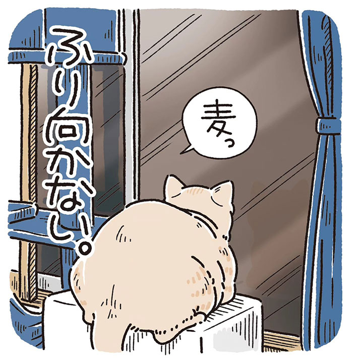 飼い主の呼びかけをなぜか無視する猫 理由に「笑いが止まらない」「コーヒー吹き出しそうになった」  @grapeejpより