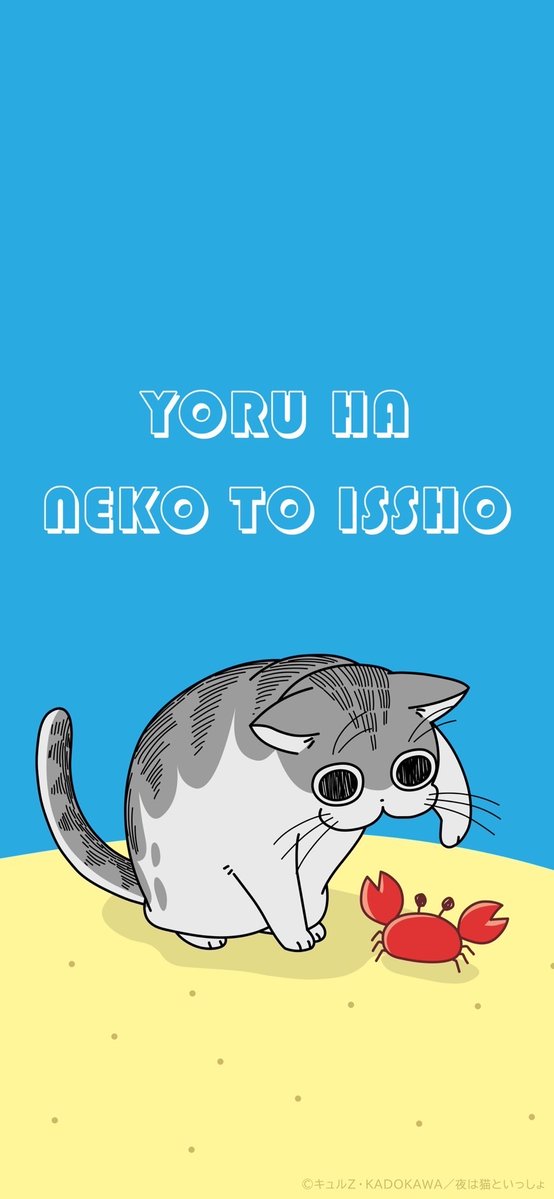 ˏˋ🐱本日からPOP UP SHOP開始🐱ˎˊ˗ 夏の #キュルガ の描き下ろし