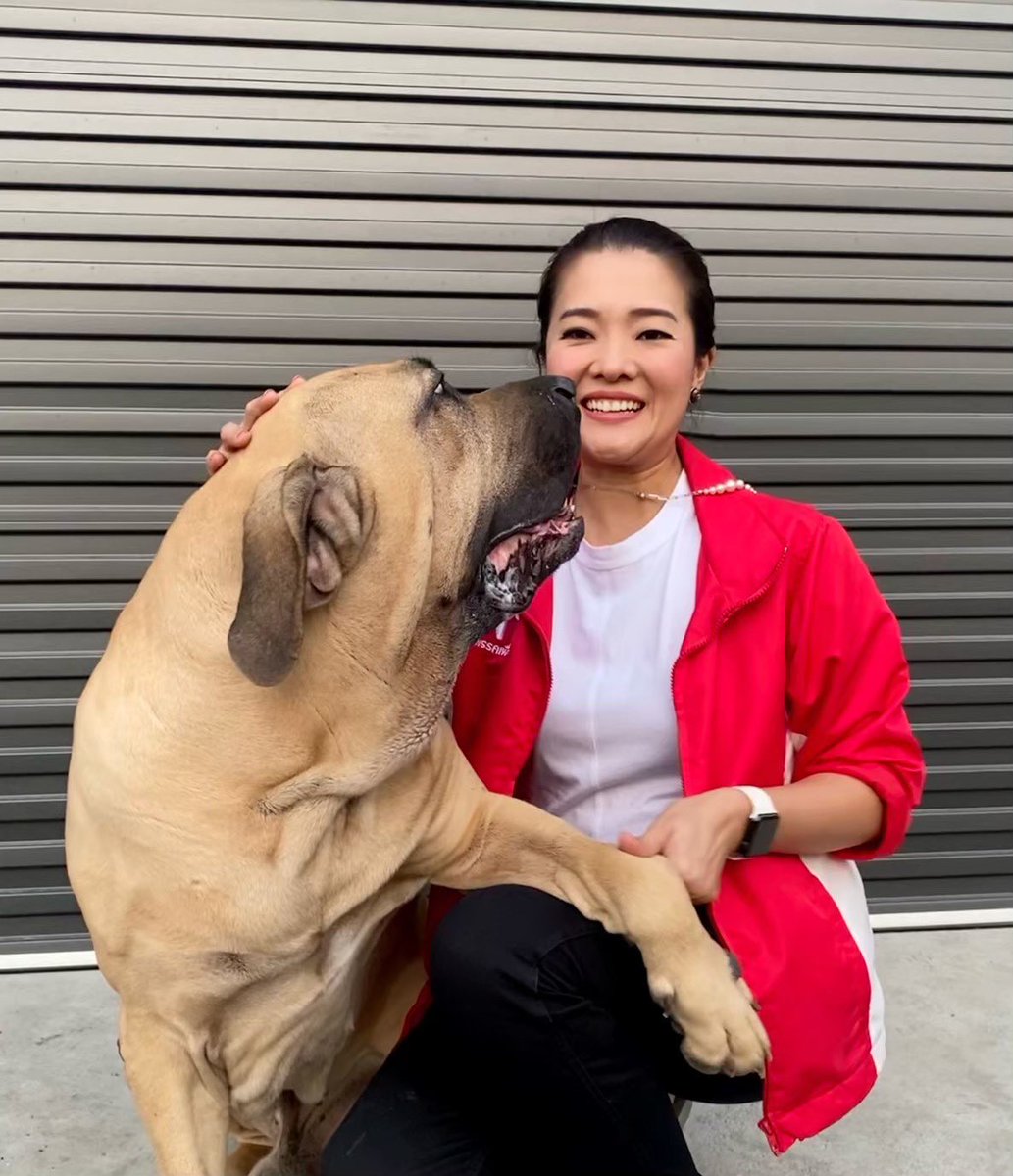 aim_theerarat's tweet photo. “หมาเราต้องไม่บ้า🐶”
เชิญนำสุนัข แมว สัตว์เลี้ยง ฉีดวัคซีนป้องกันโรคพิษสุนัขบ้ามี 2วัน
-17ส.ค  9.30–11.30
วัดสุทธาโภชน์ 200โดส
-18ส.ค 9.30–11.30
วัดราชโกษา 200โดส
ไม่ต้องลงทะเบียนล่วงหน้า นำบัตรปชช.มาแสดงตัวตน ไม่มีค่าใช้จ่าย
ขอขอบคุณสำนักอนามัย สนข.ลาดกระบังค่ะ #สก_จอห์น #สสอิ่ม https://t.co/4LOAYQYvEP