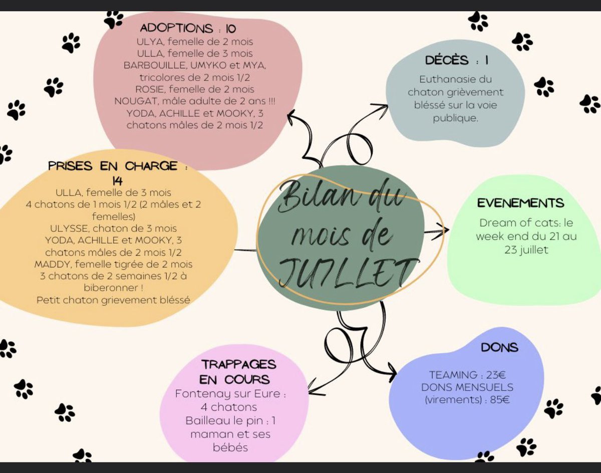 epa251116's tweet photo. Bilan du mois de juillet !
#protectionanimale #chat #chaton https://t.co/M969nM93bq
