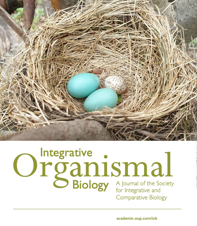 iobjournal's tweet photo. So exciting @skwinnicki !
&amp; be sure if you're at #AOS_SCO23 , that you read 
Winnicki's co authored https://t.co/O3TzjLRH5x 
with one of our IOB authors @cowbirdlab 
"Inter-Individual Variation in Anti-Parasitic Egg Rejection Behavior..."
Hauber, et al 
https://t.co/aYiIod3B8X https://t.co/3ExKiNonoP